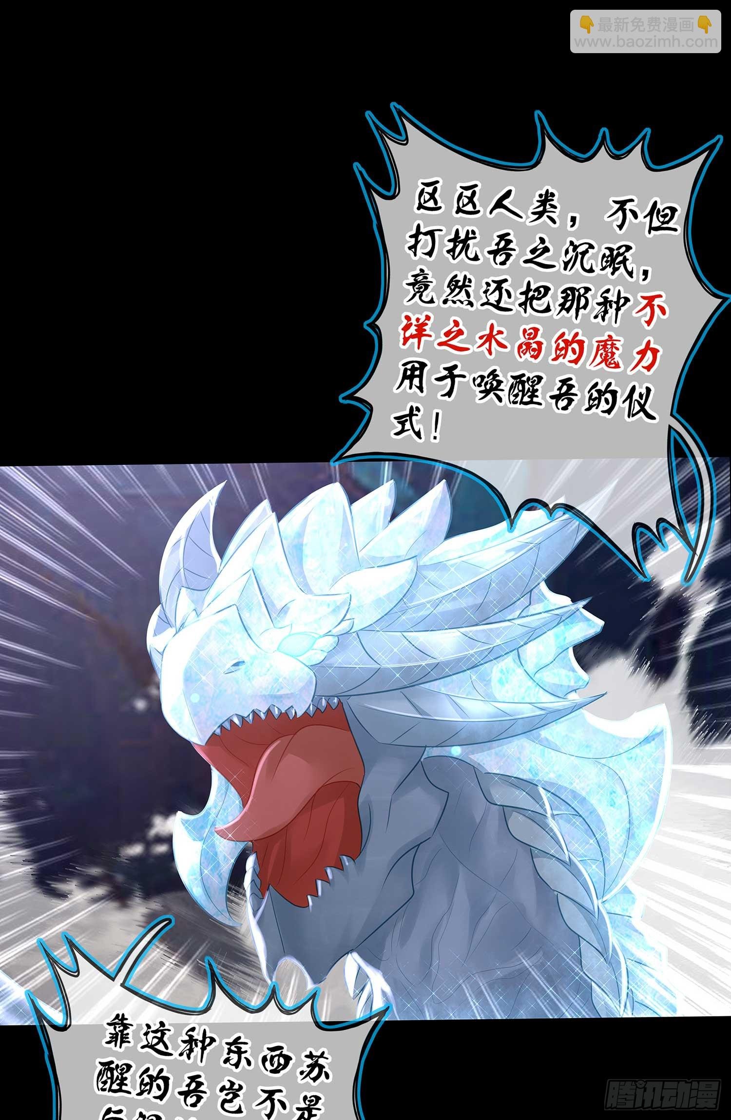 秩序之龙