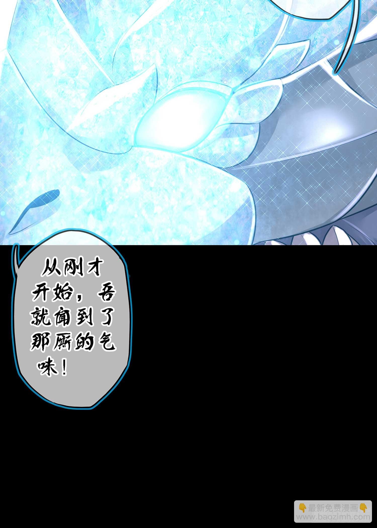 秩序之龙