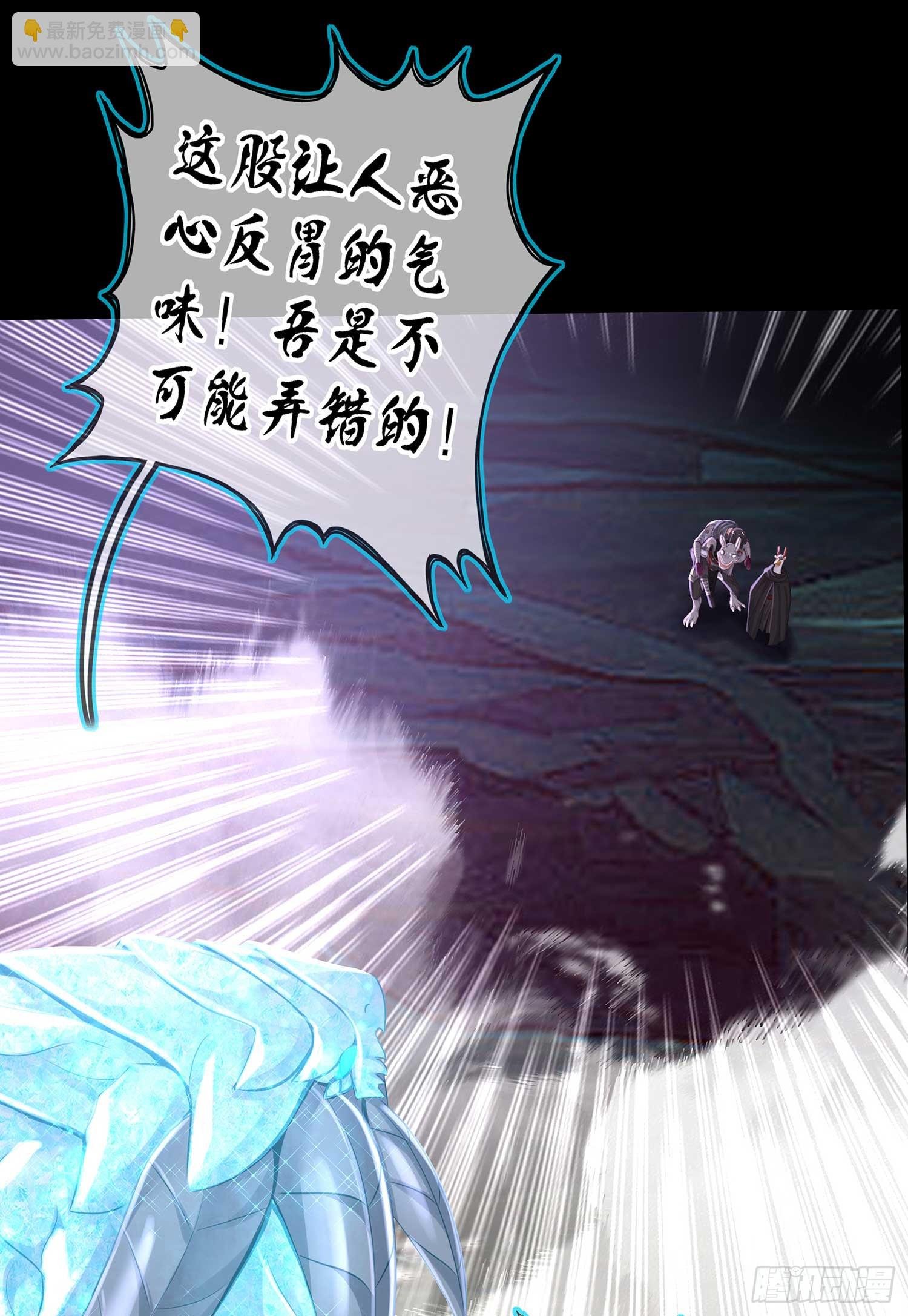秩序之龙