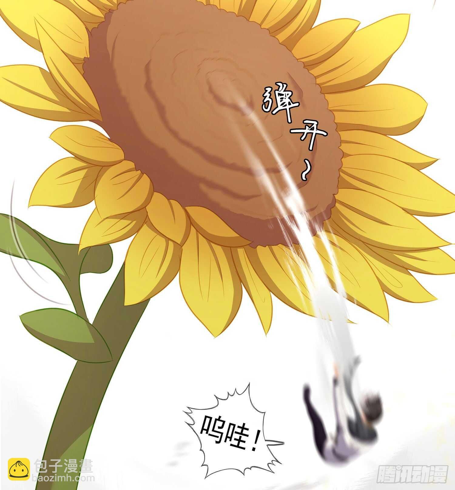 神明的褒奖