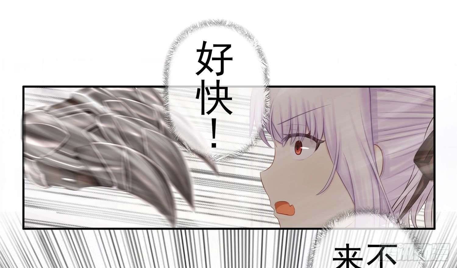 骑士与武士