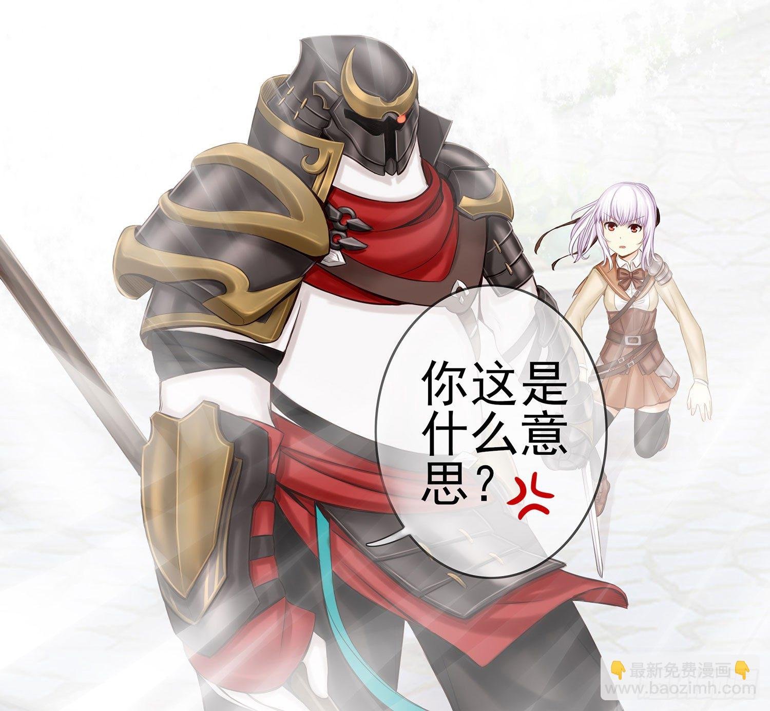 骑士与武士