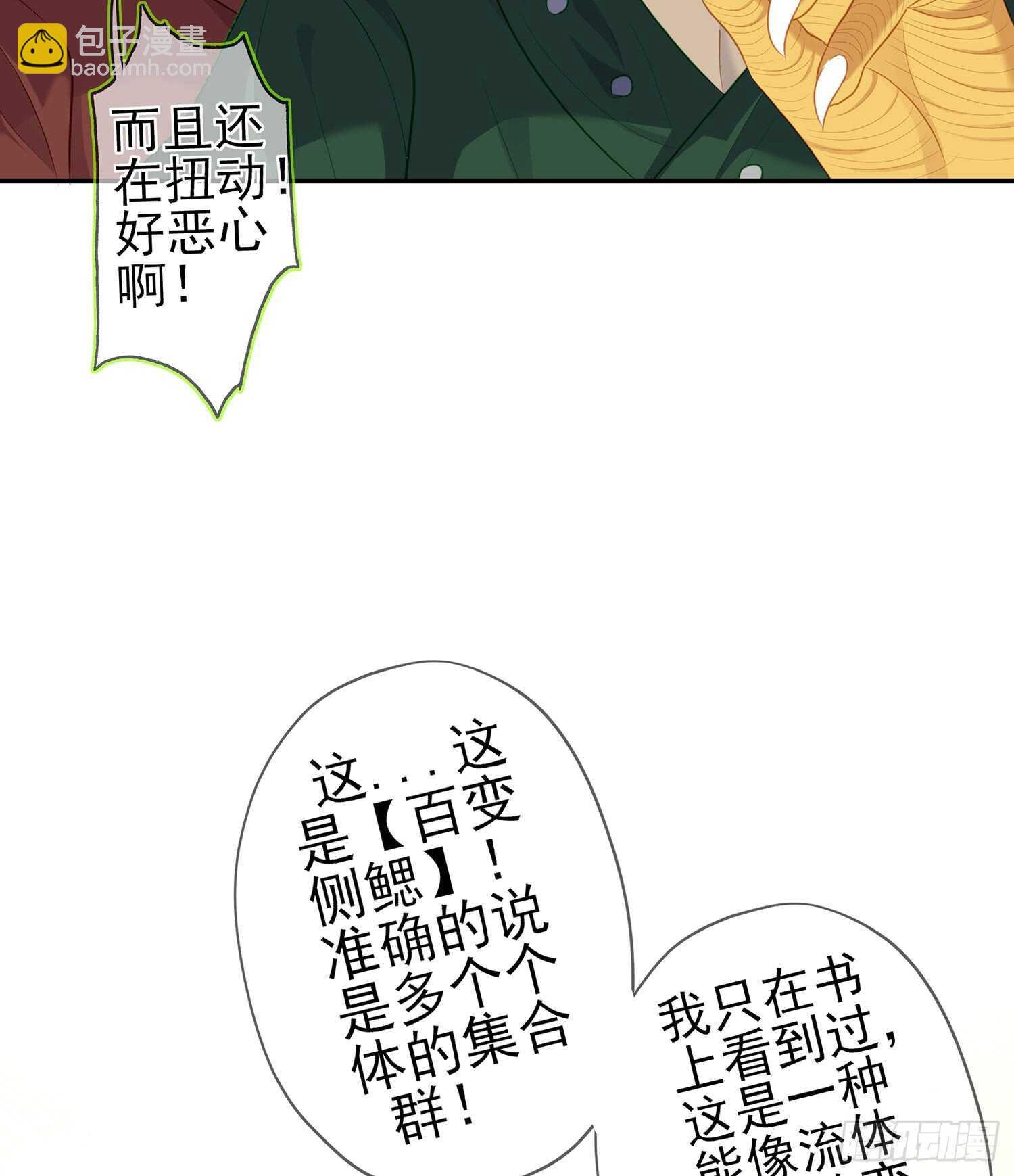 晚安，帕瑟