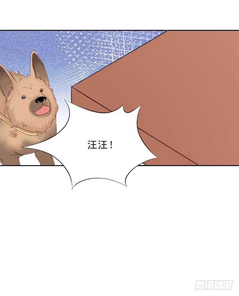 第61话 寄人篱下的生活？