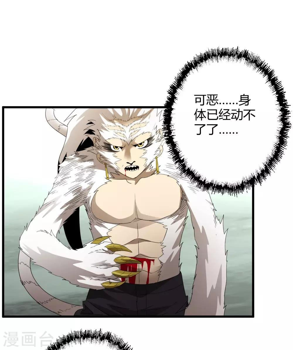第163话 被操控的夏如风