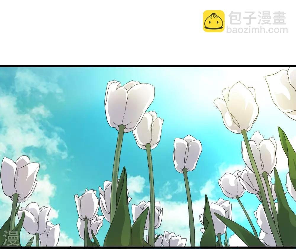 第190话 叶天和