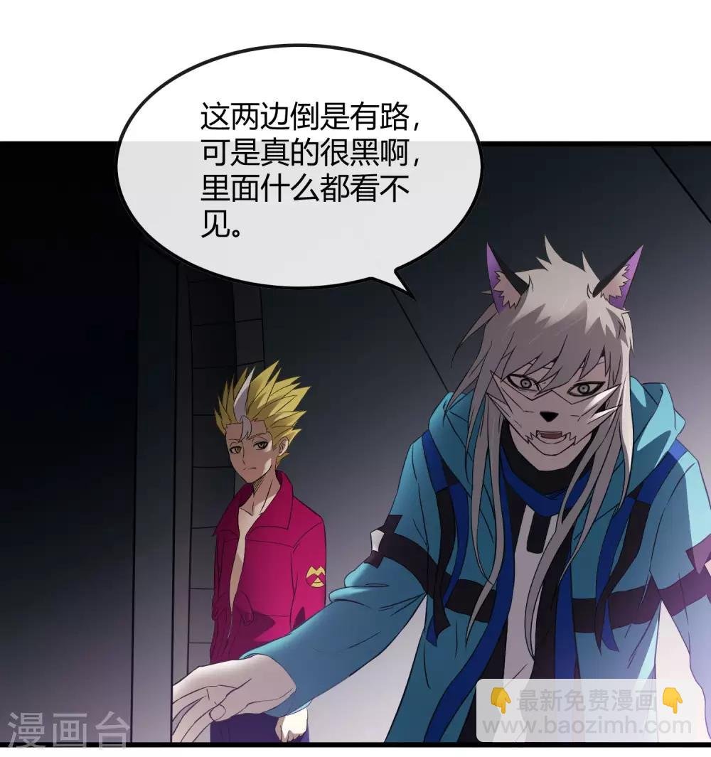 第217话 分头行动