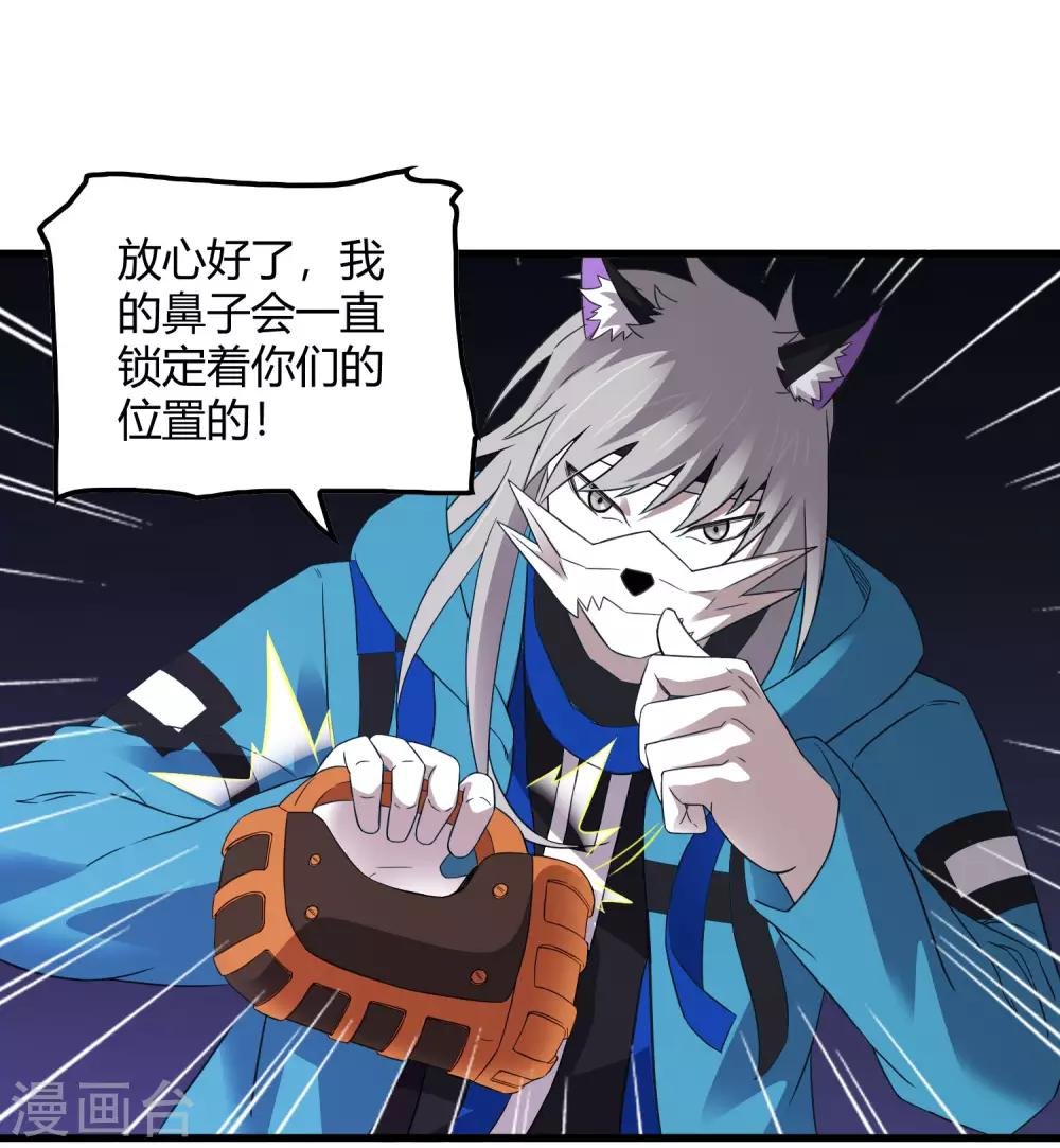 第217话 分头行动