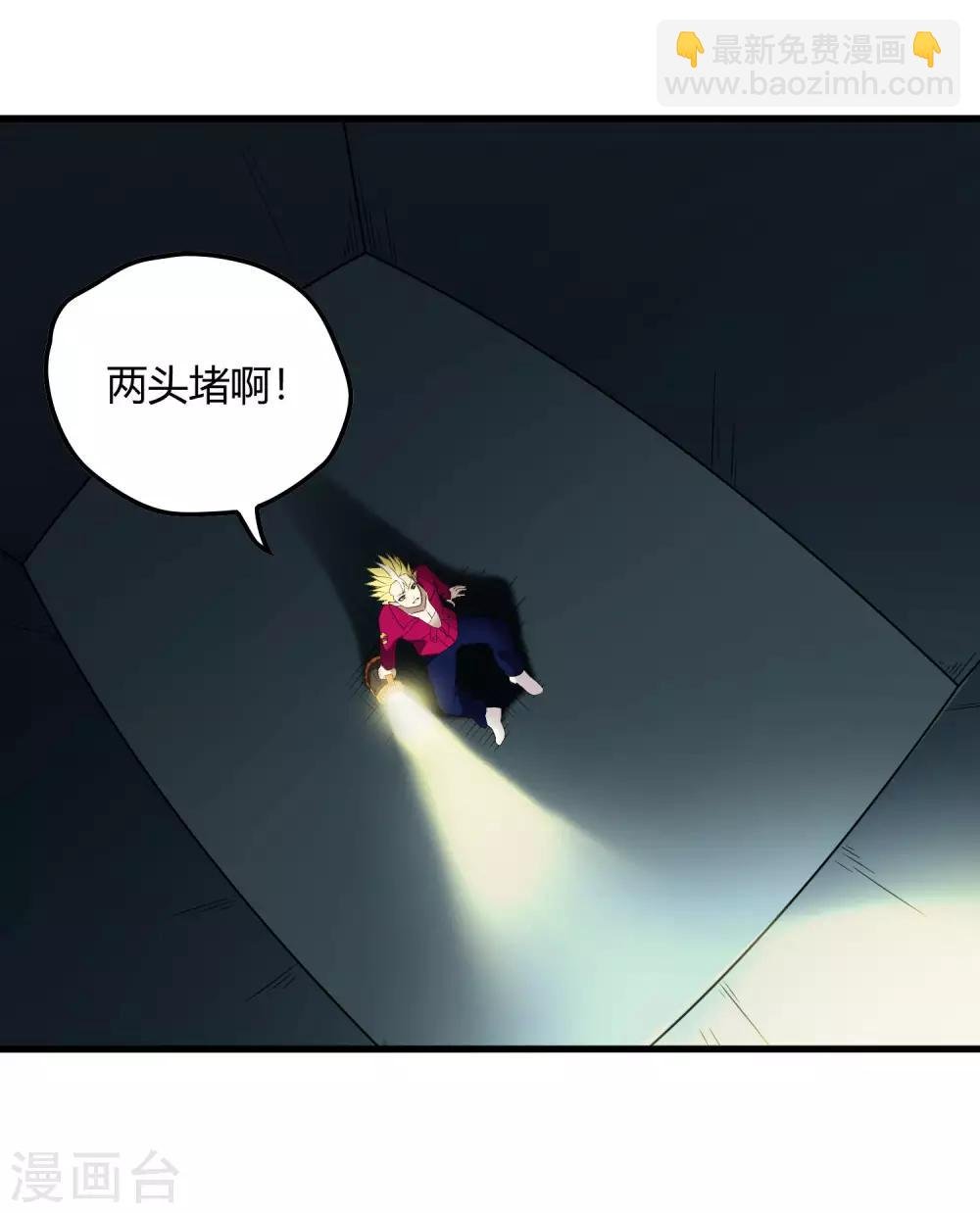 第217话 分头行动