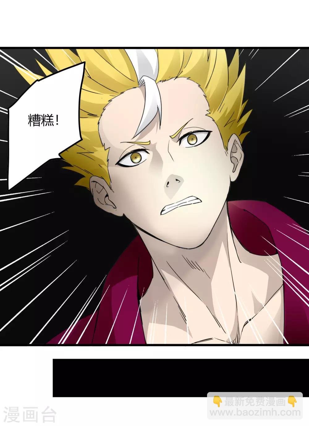 第217话 分头行动