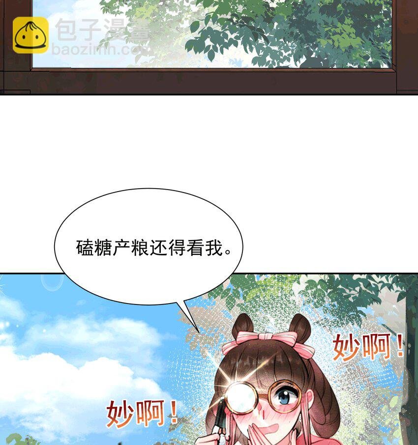 AI番外 磕糖专家