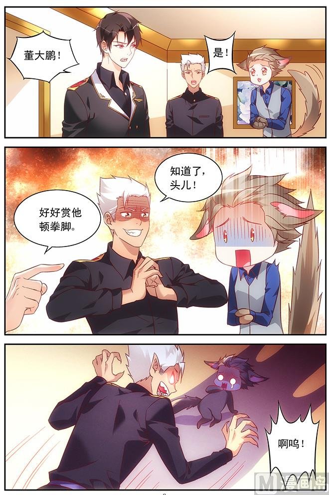 第77话 喜欢就尽力追求