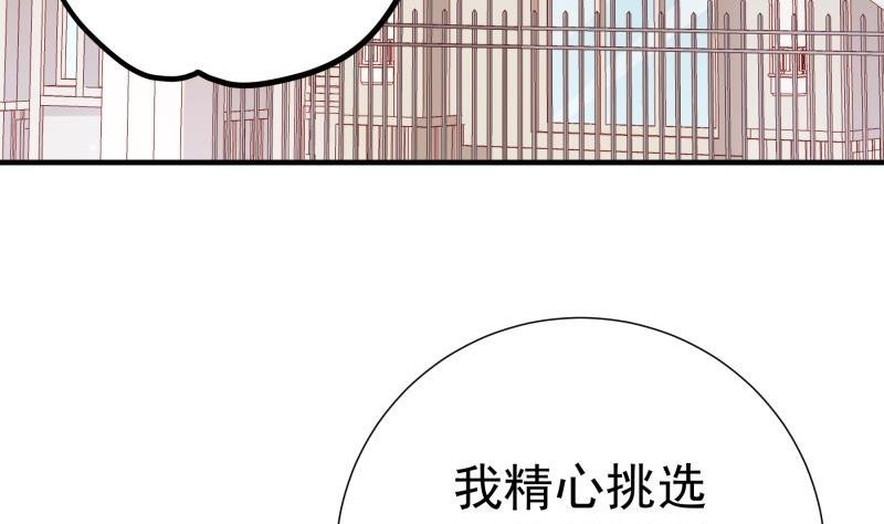 第178话 生日礼物