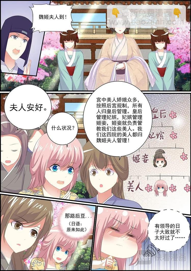 011寻找月下美人