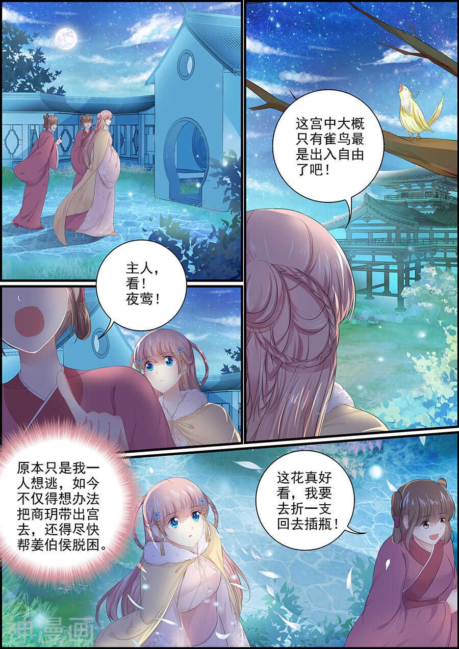 第135话 抛绣球