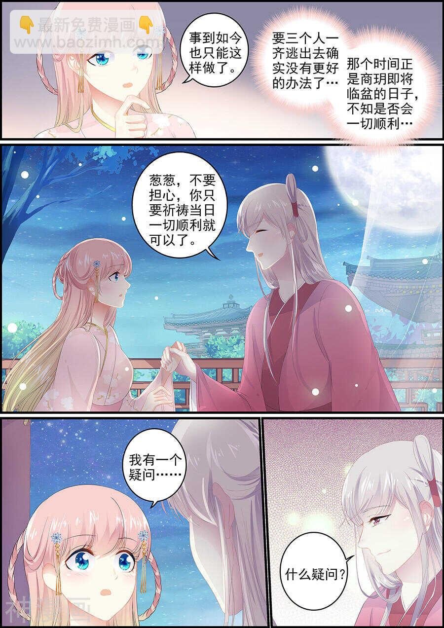 第146话 此时盟友