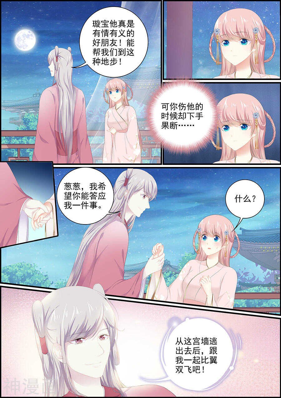 第146话 此时盟友