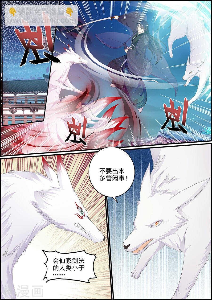 第156话 生了什么