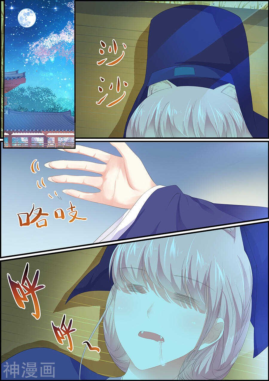 第167话 江山美人