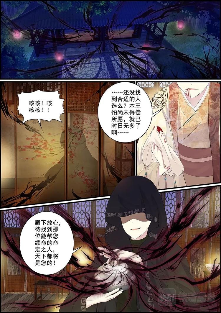 017 蜂袭真相