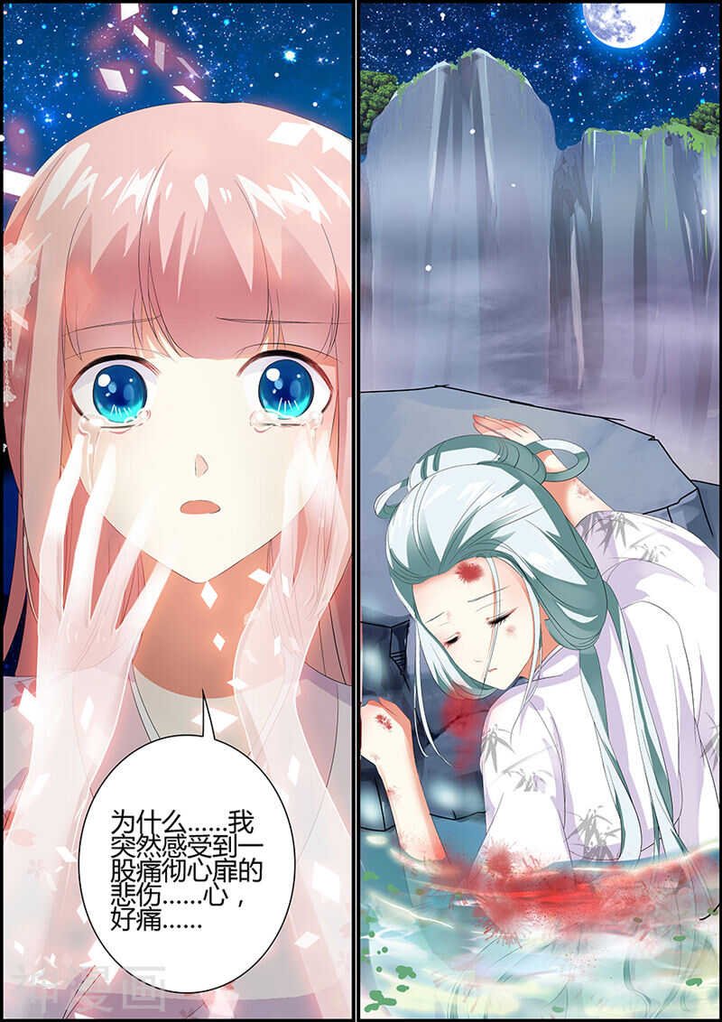 032捡到一只小狐狸