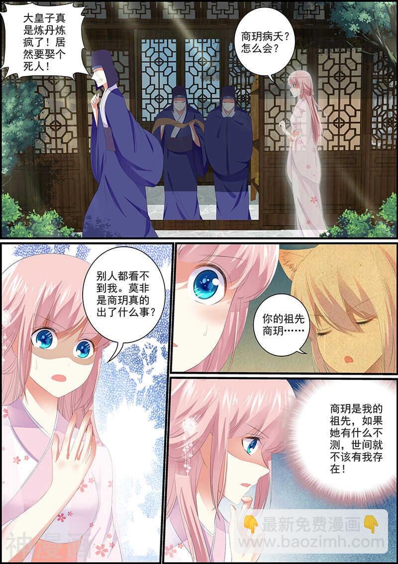 033谁是商美人？