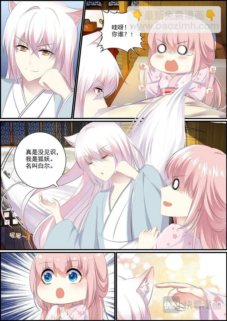 006妖狐白尔