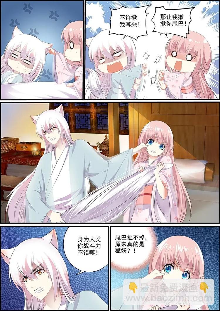 006妖狐白尔