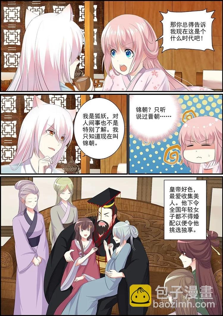 006妖狐白尔