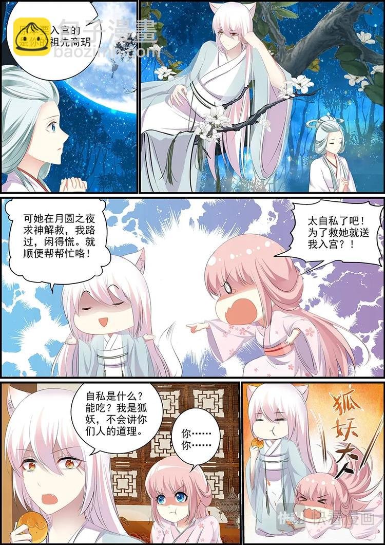 006妖狐白尔
