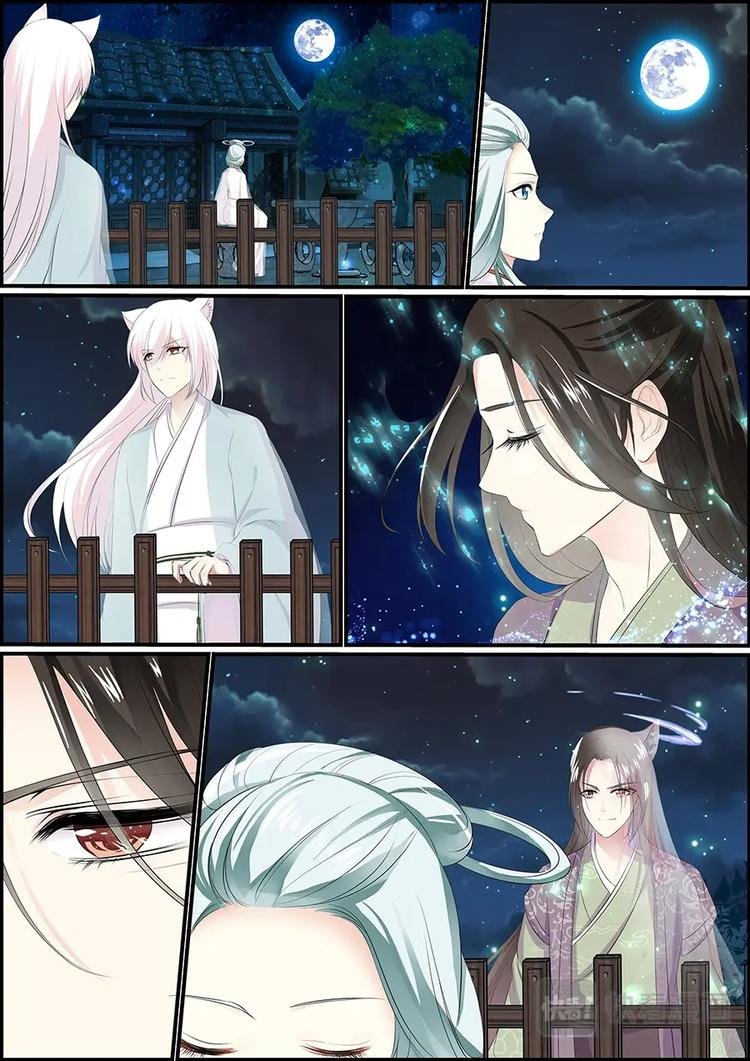 006妖狐白尔
