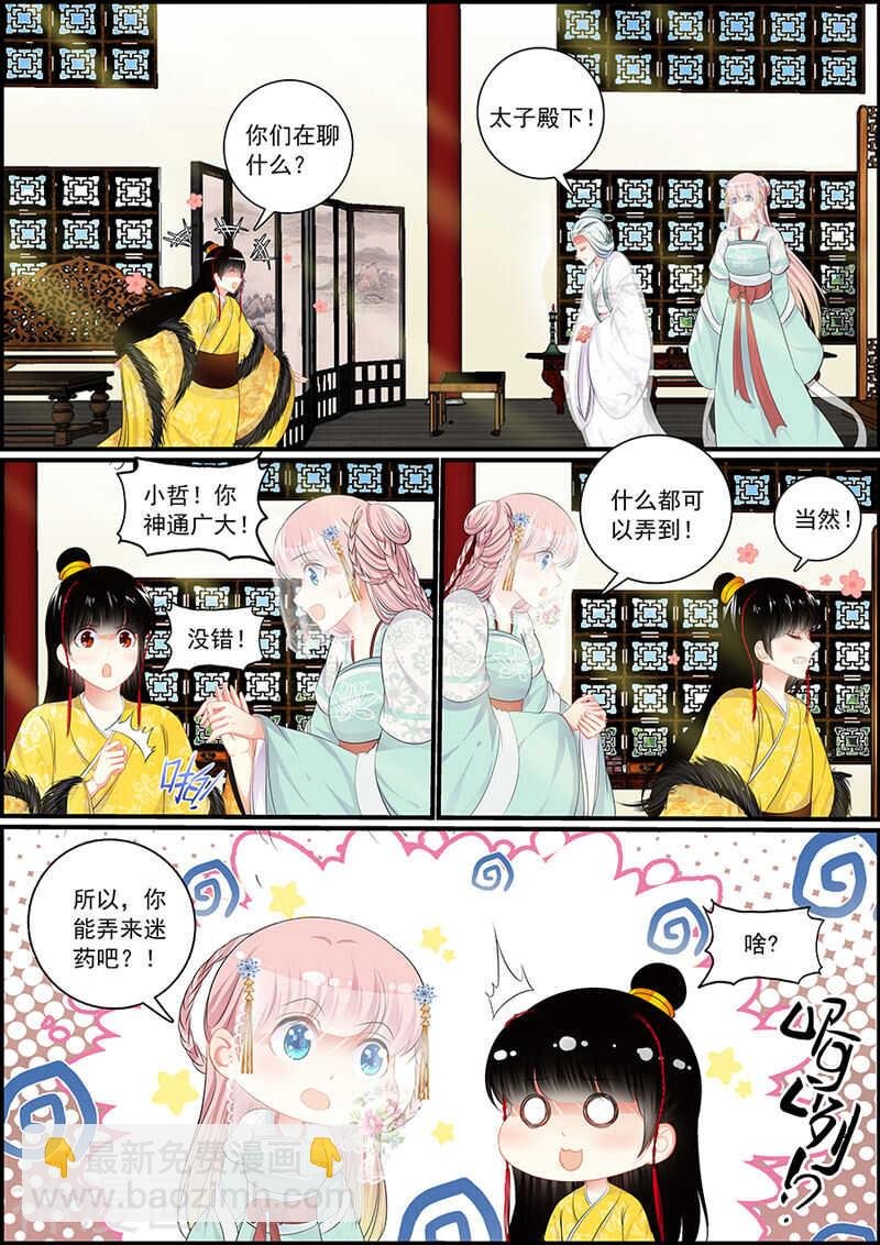 075后宫形势