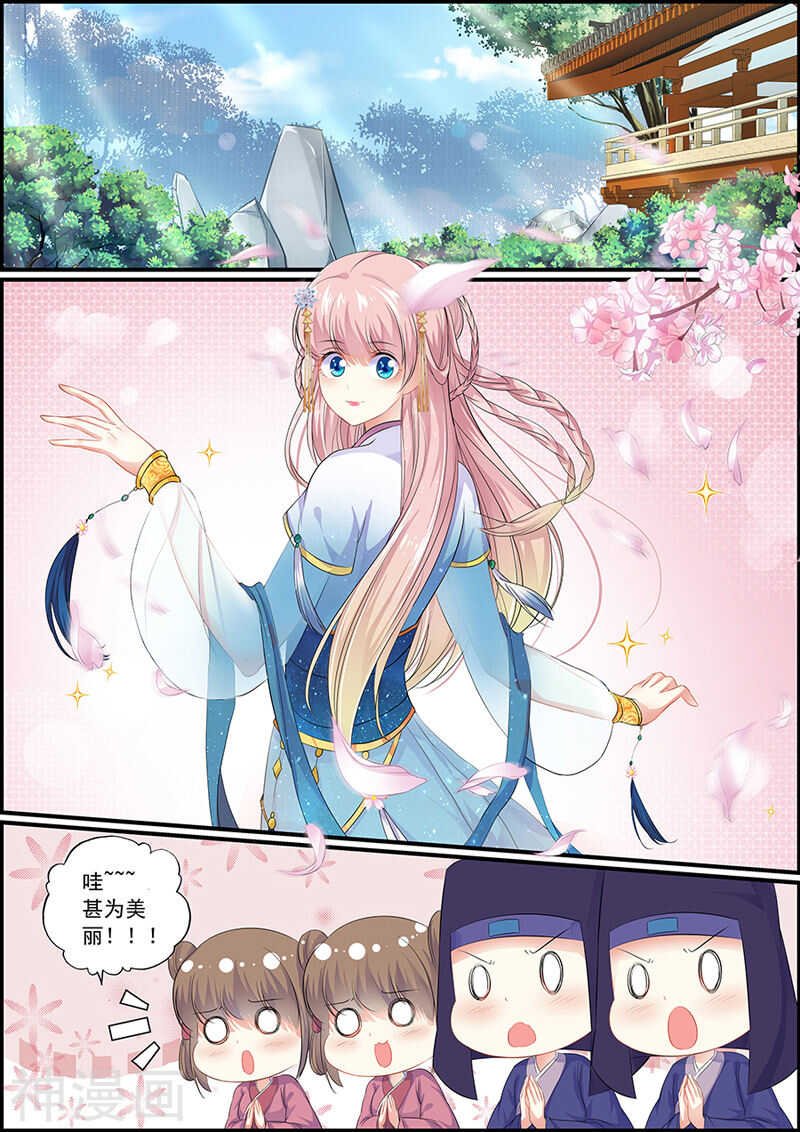 第84话 心仪的女子