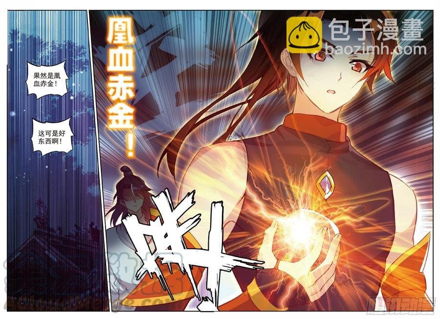91 凰血赤金（下）