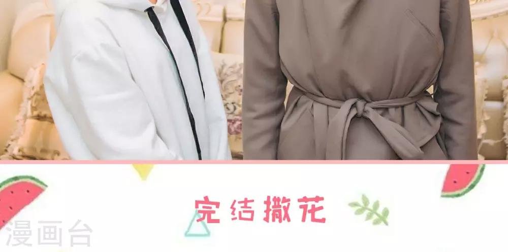 最终话