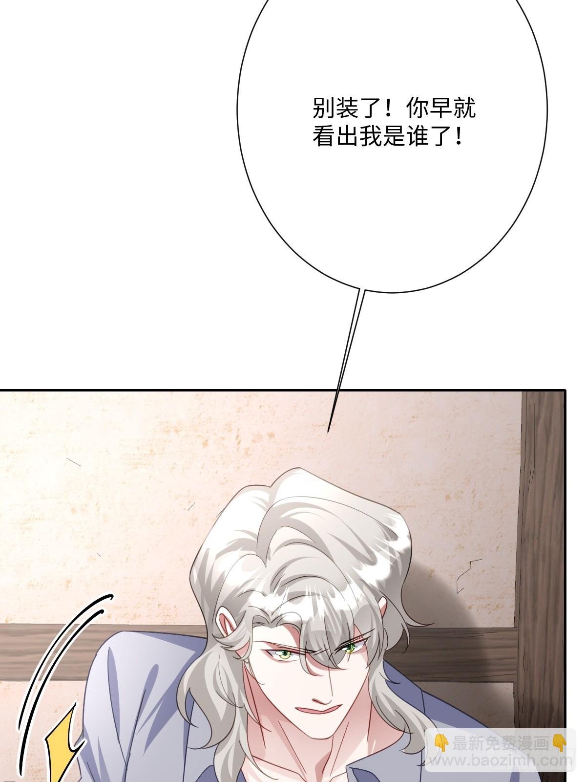 051 绝妙的计划