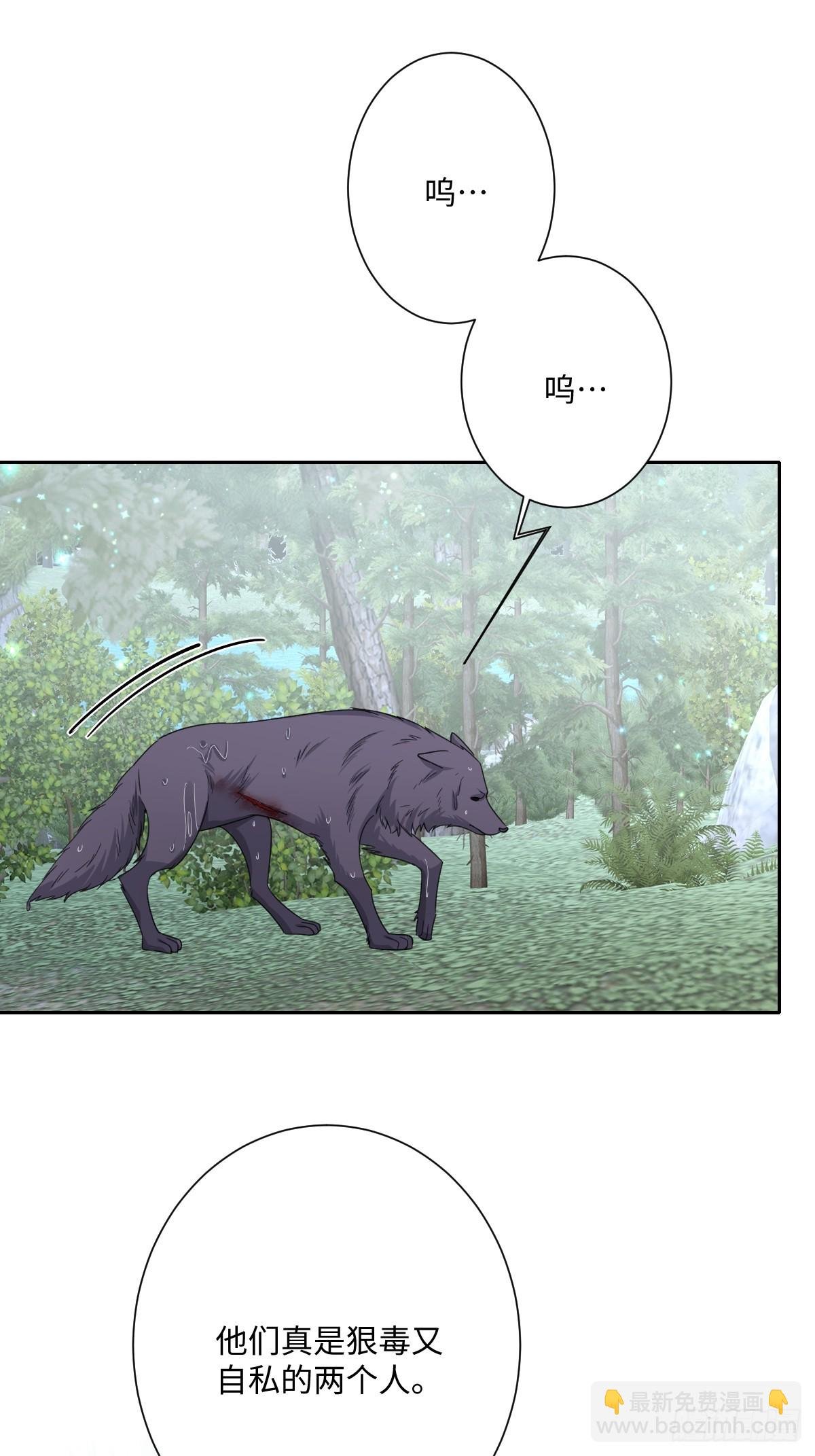 054 她的心思