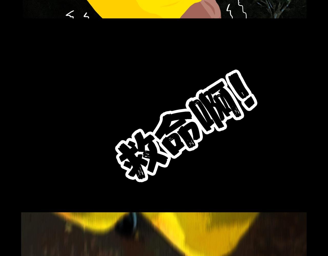 龟兔赛跑2