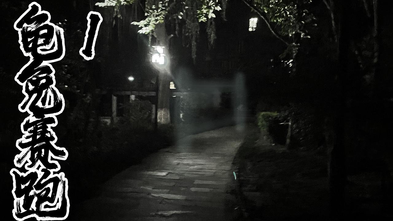 龟兔赛跑1