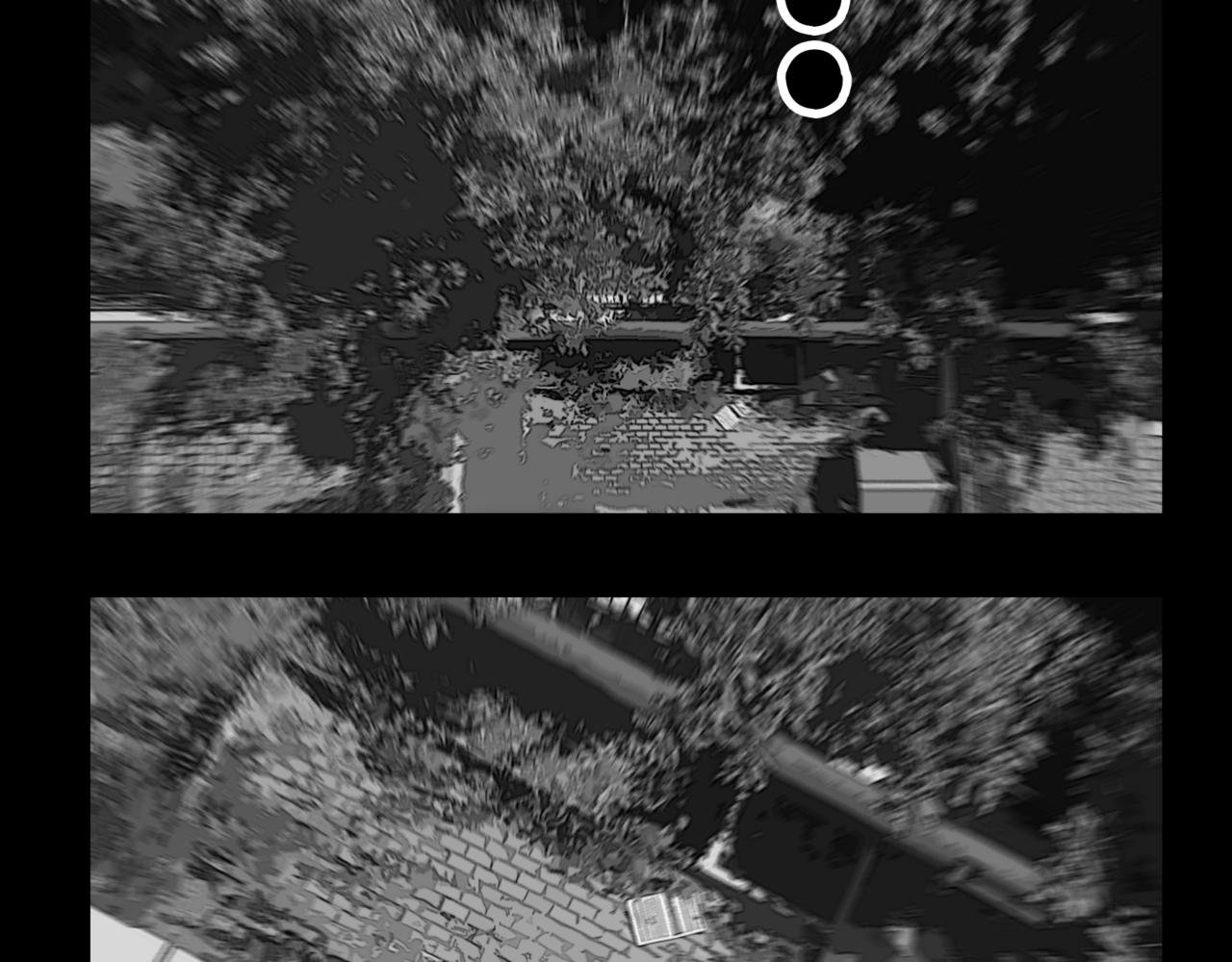 龟兔赛跑1