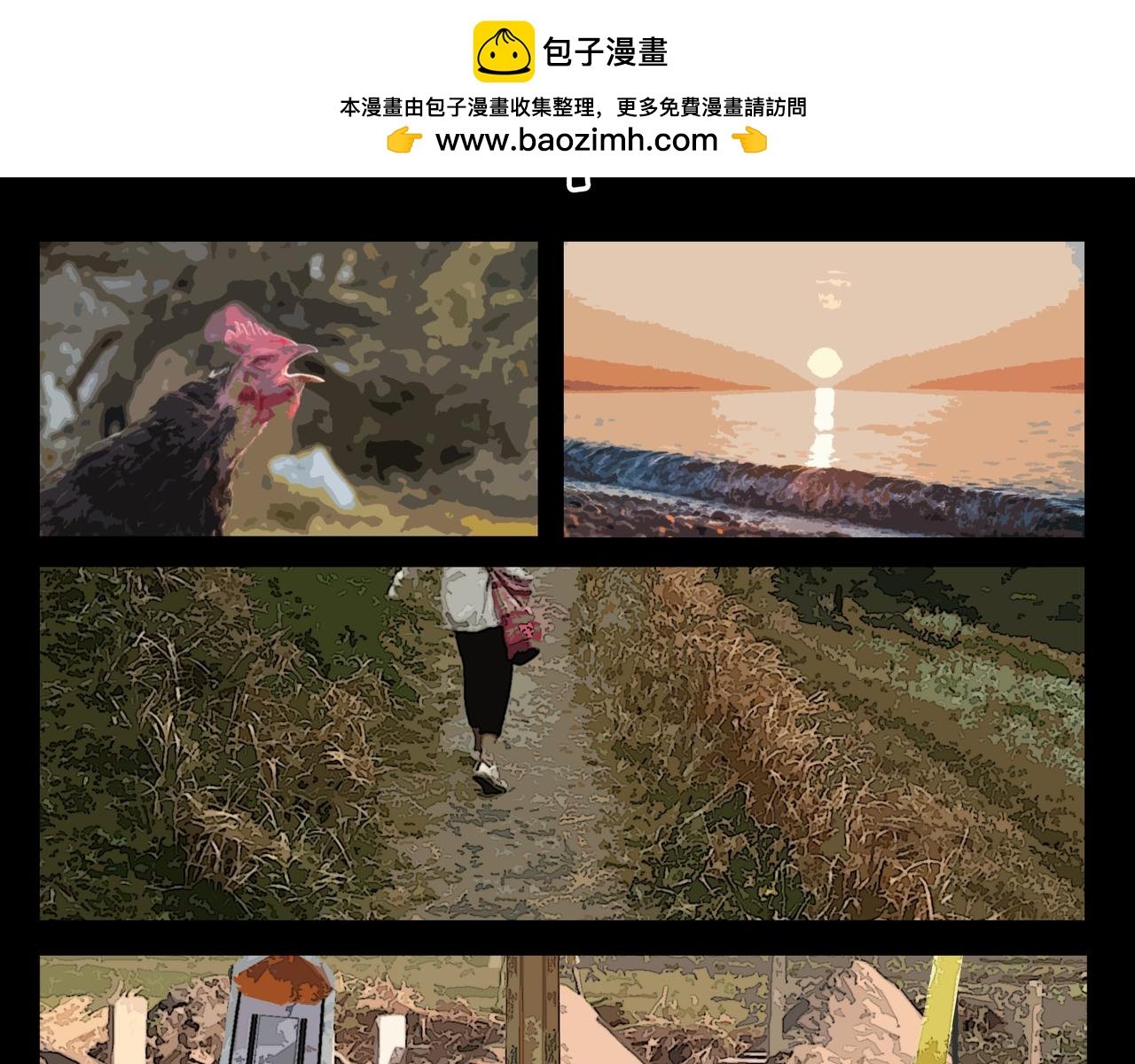 贝壳姑娘-完