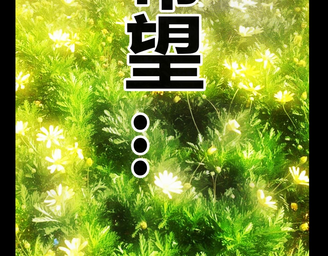 贝壳姑娘-完