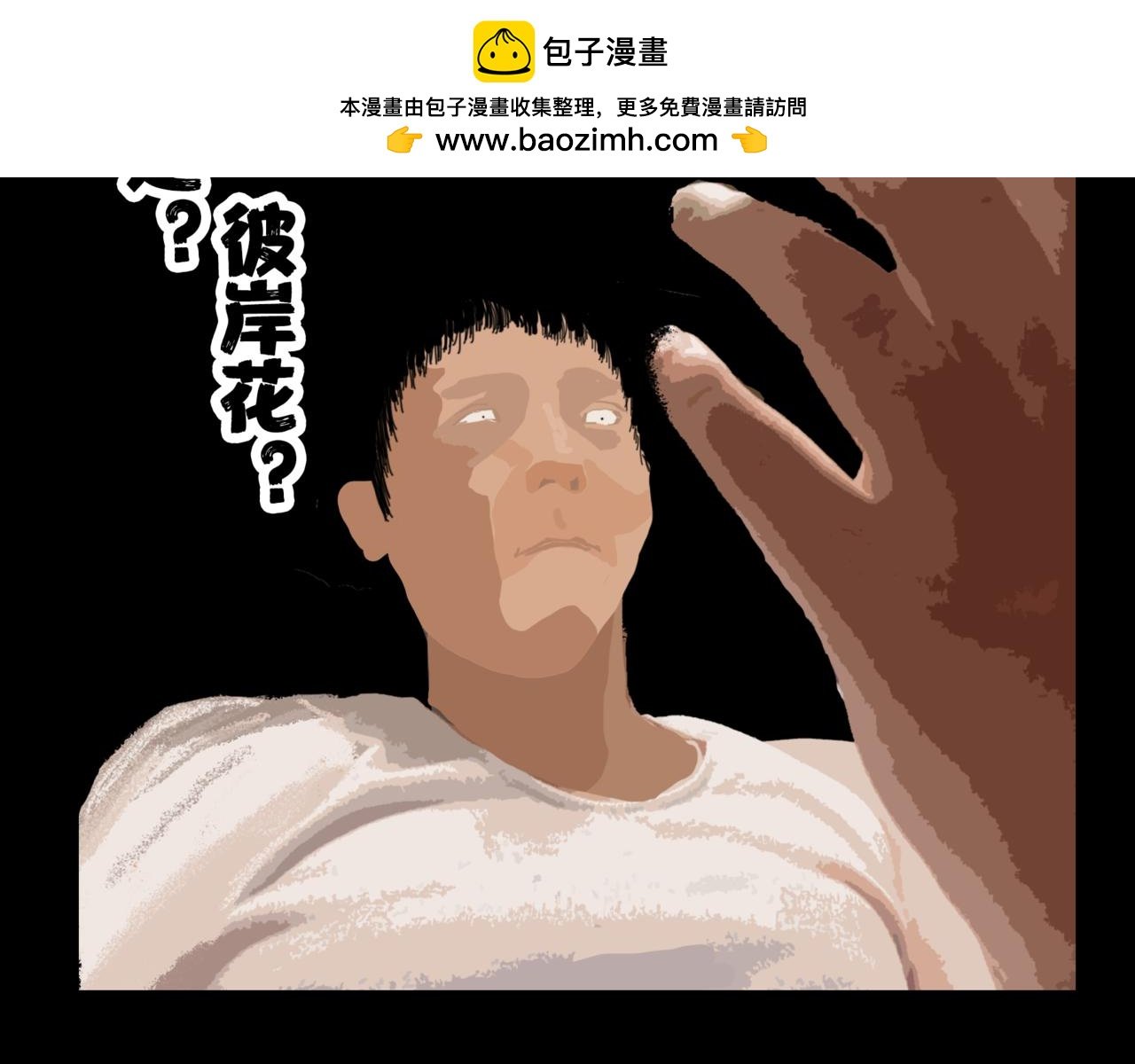 贝壳姑娘8