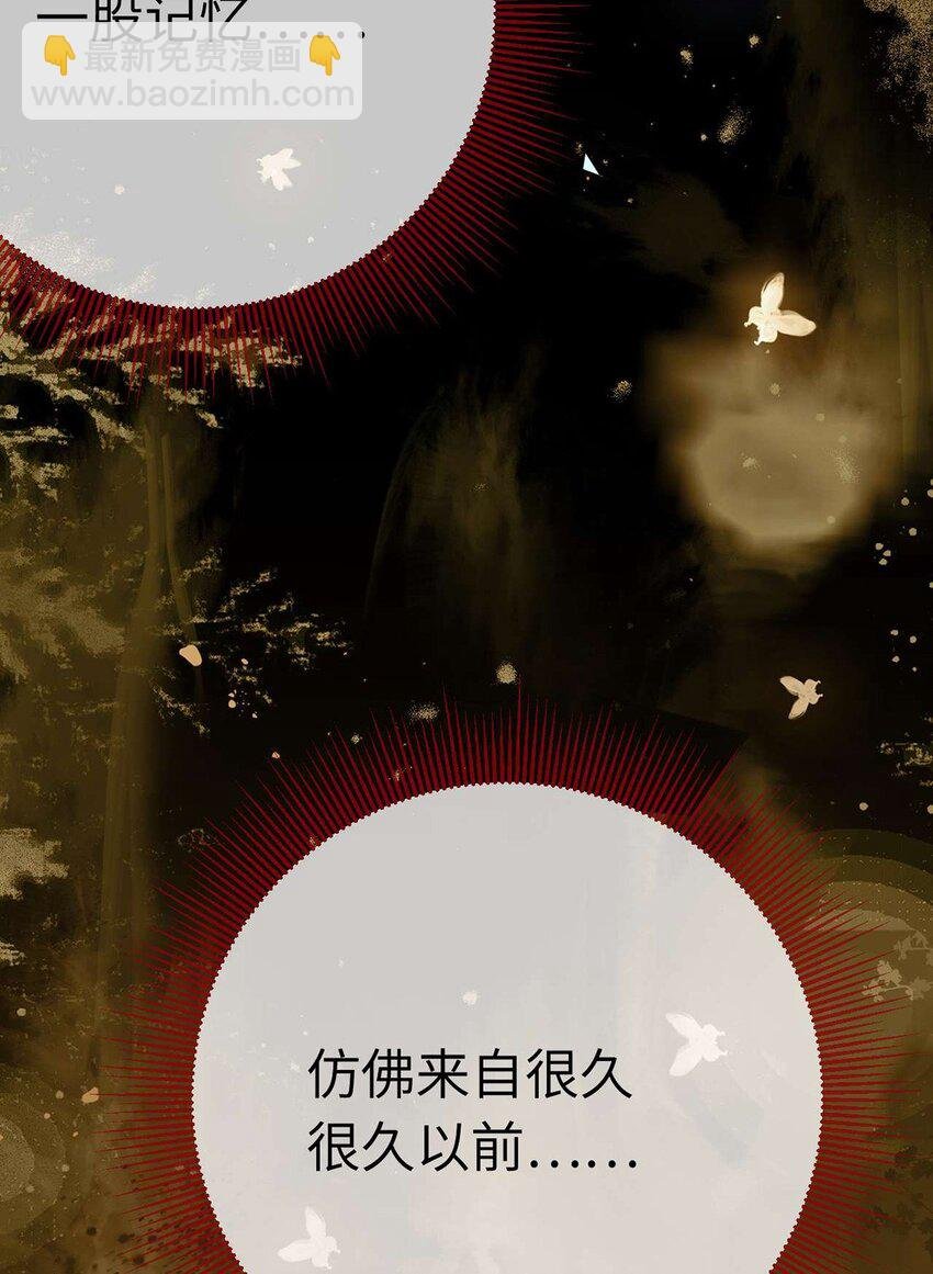 160 南桉红鹊落幕