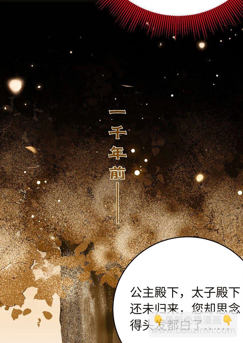 160 南桉红鹊落幕
