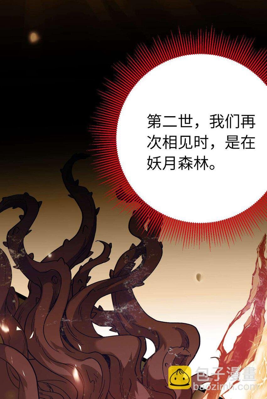 160 南桉红鹊落幕