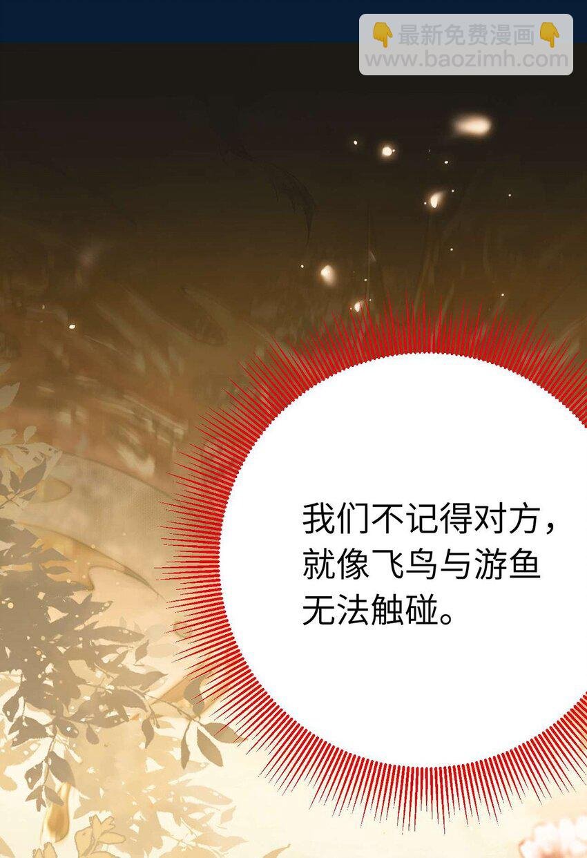 160 南桉红鹊落幕