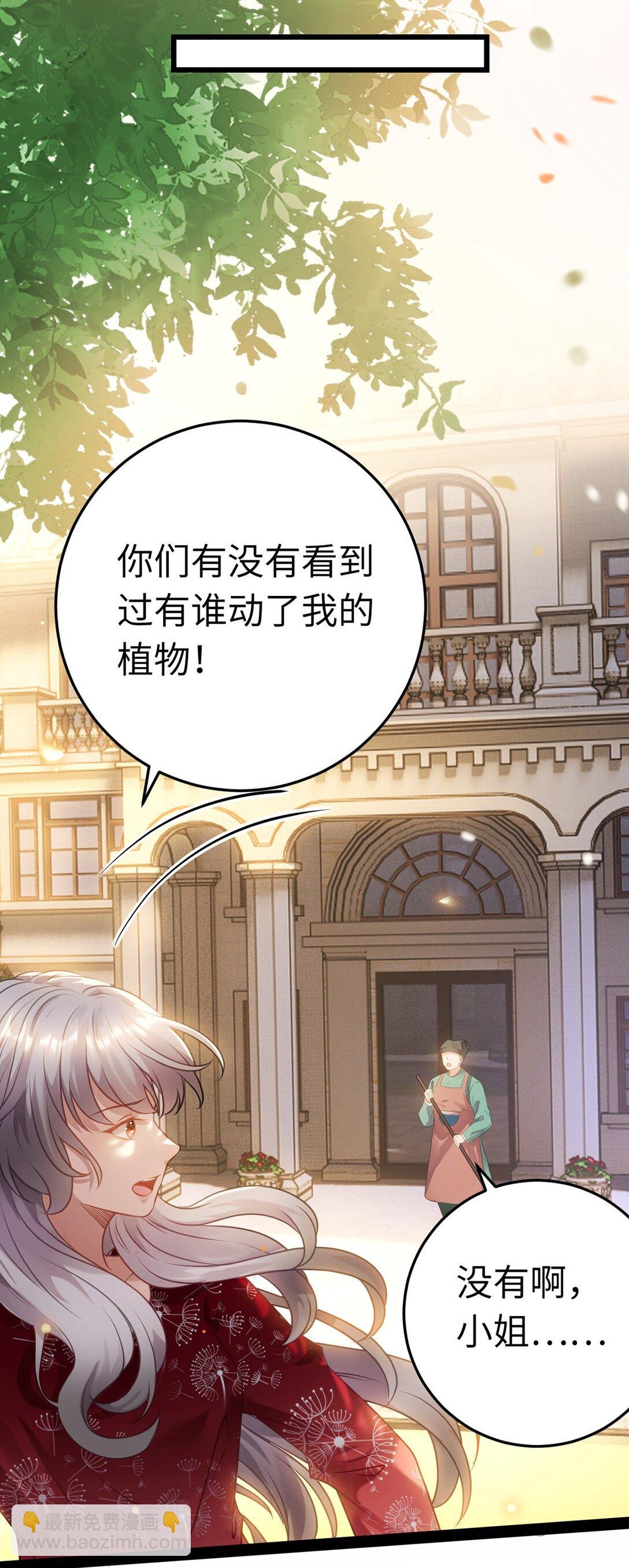 177 最美的新娘