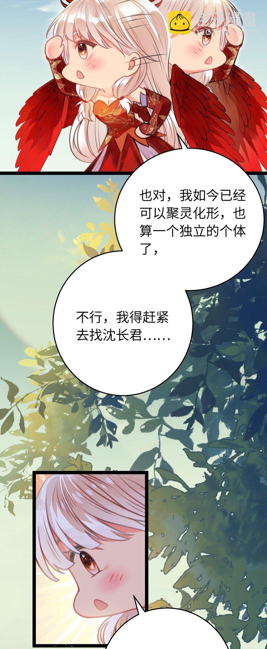 97 特殊服务？