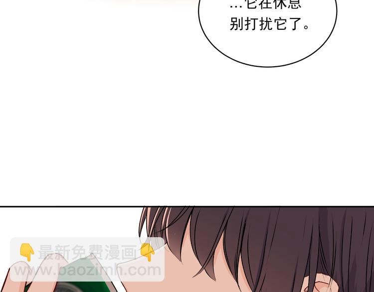 第31话 梦中情人
